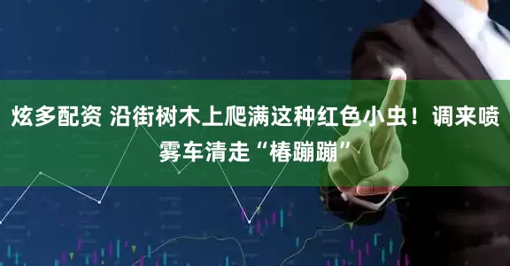 炫多配资 沿街树木上爬满这种红色小虫！调来喷雾车清走“椿蹦蹦”